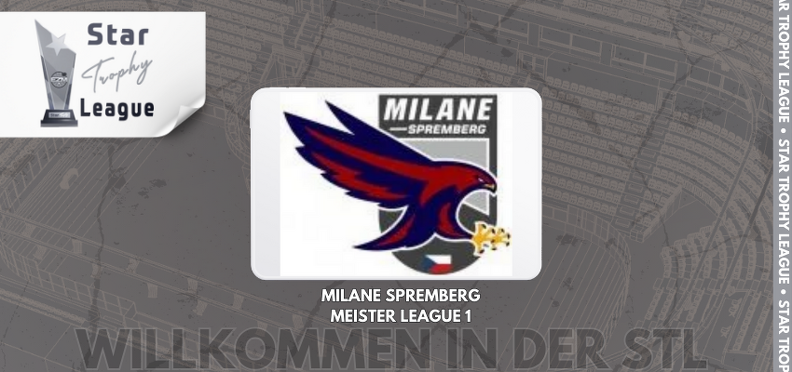 https://stl.sd-elbflorenz.de/upload/_data/i/upload/2025/02/25/20250225202133-b73970fb-me.png